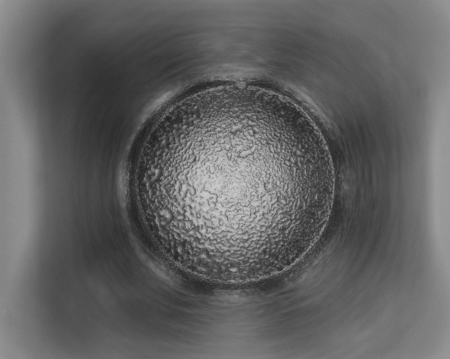 X0000113270679200909101519