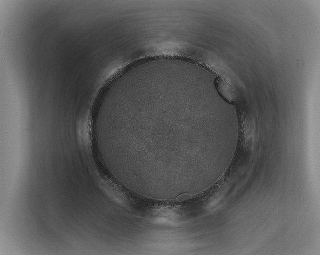 X0000113270680200909101519