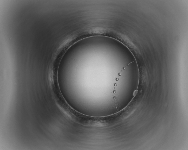 X0000113270683200909101519