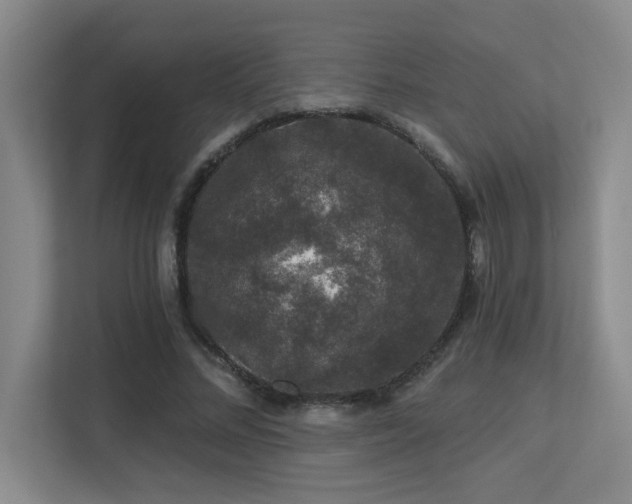 X0000113270684200909101519