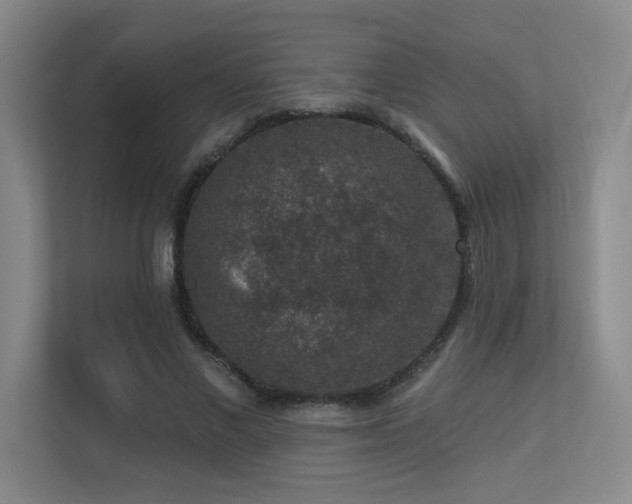 X0000113270685200909101519