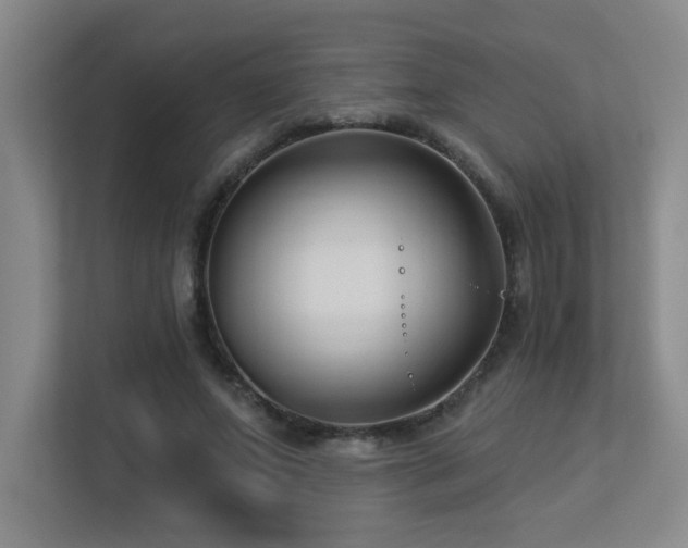 X0000113270687200909101519