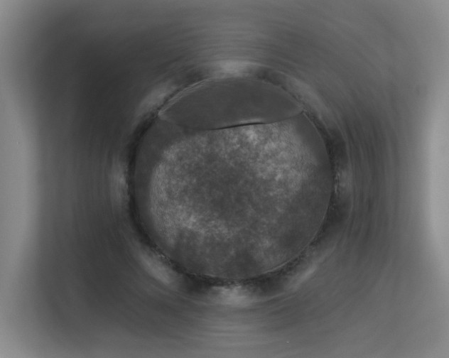 X0000113270688200909101519