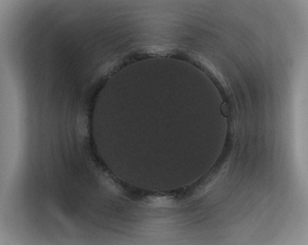 X0000113270689200909101519