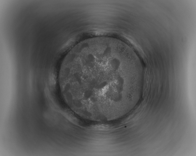 X0000113270691200909101519