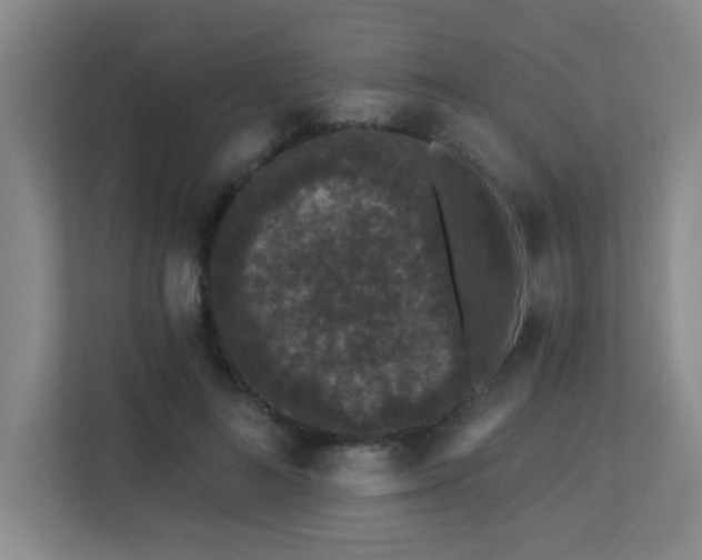 X0000113270692200909101519