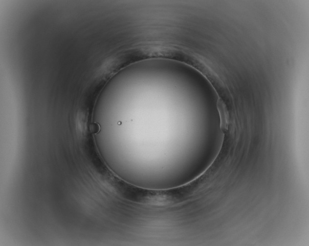 X0000113270695200909101519
