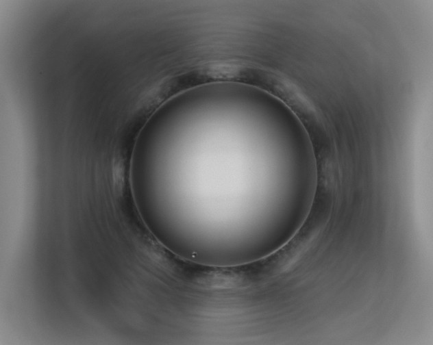X0000113270697200909101519