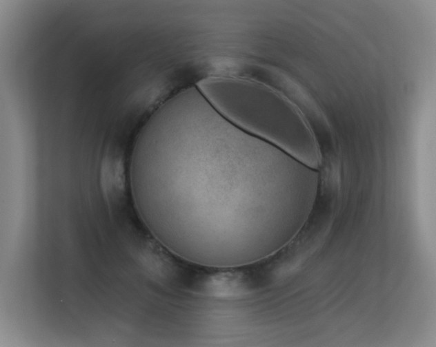 X0000113270700200909101519