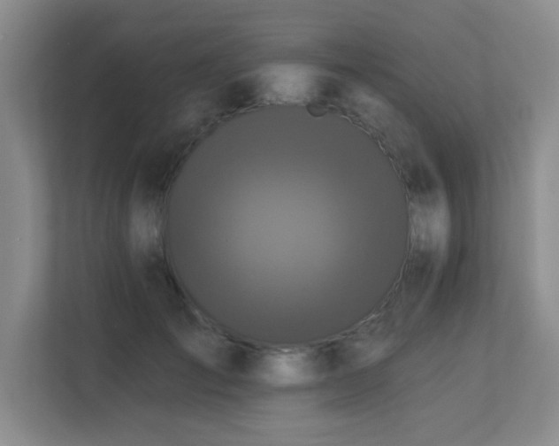 X0000113270701200909101519