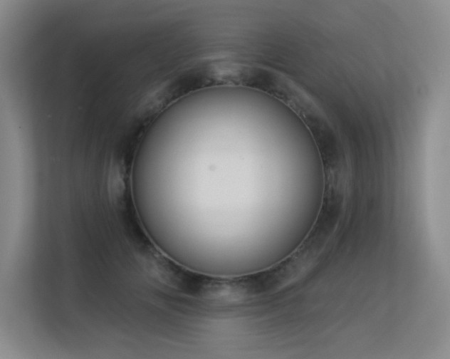 X0000113270702200909101519
