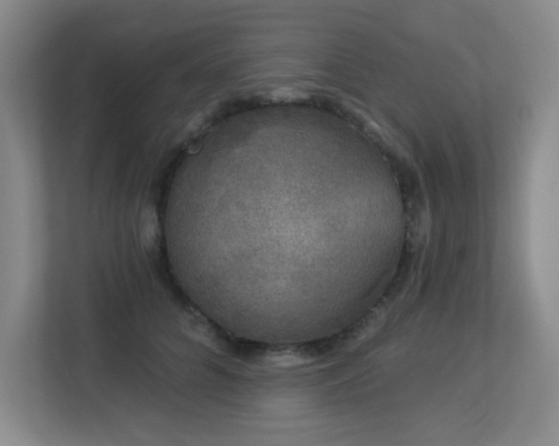 X0000113270704200909101519