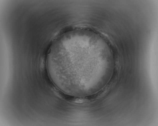 X0000113270708200909101519
