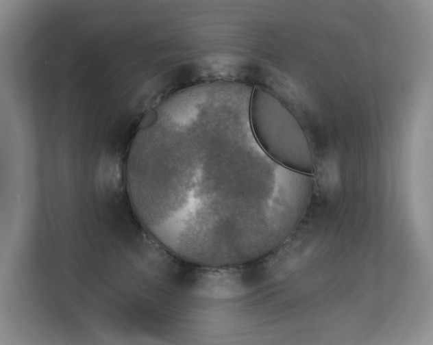X0000113270709200909101519