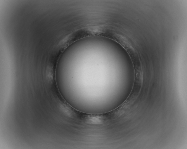 X0000113270710200909101519