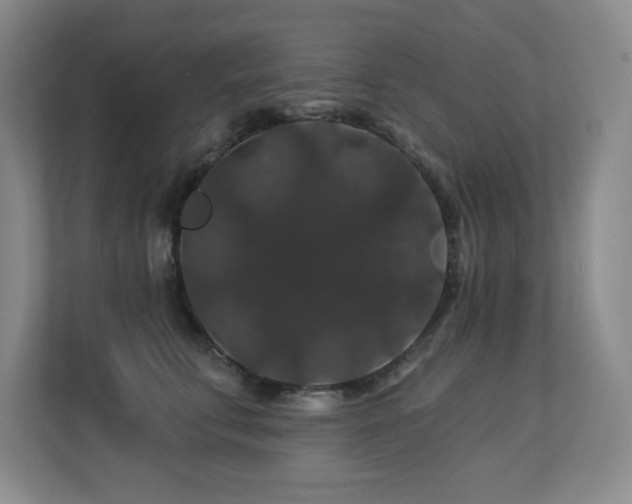 X0000113270711200909101519