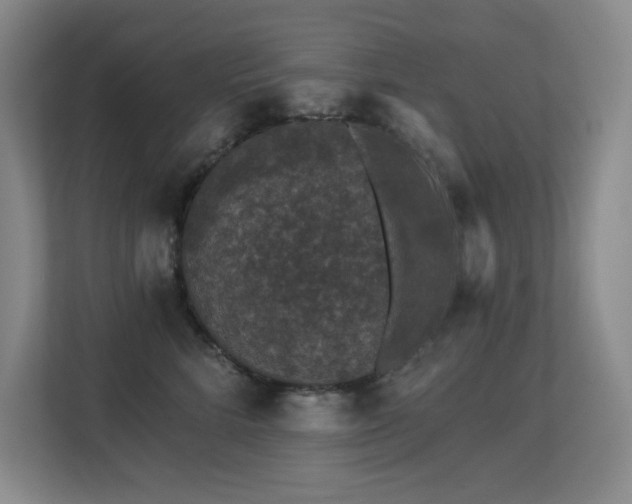 X0000113270712200909101519