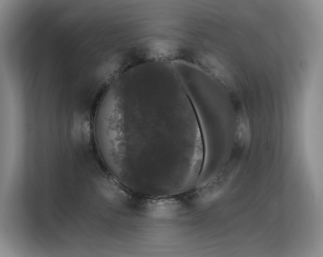 X0000113270716200909101519