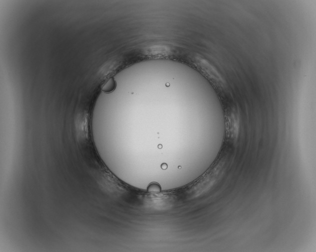 X0000113270717200909101519