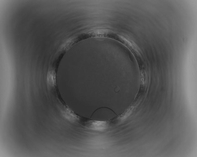 X0000113270718200909101519