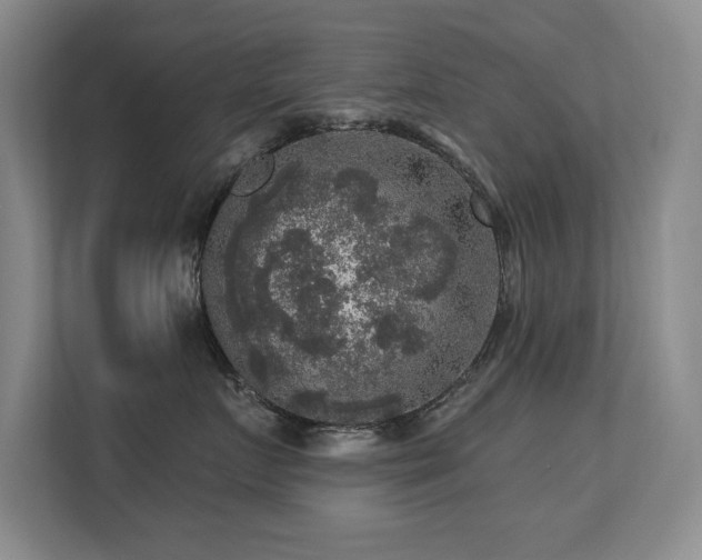 X0000113270719200909101519