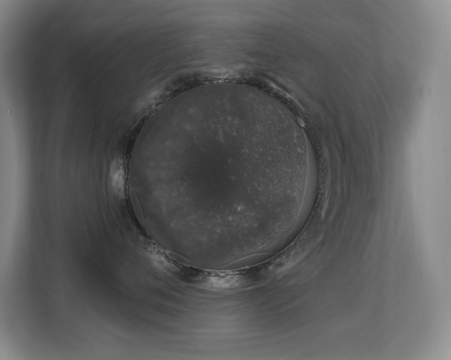 X0000113270720200909101519