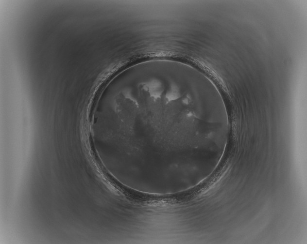 X0000113270721200909101518