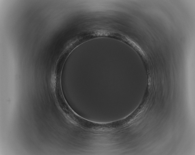 X0000113270722200909101518