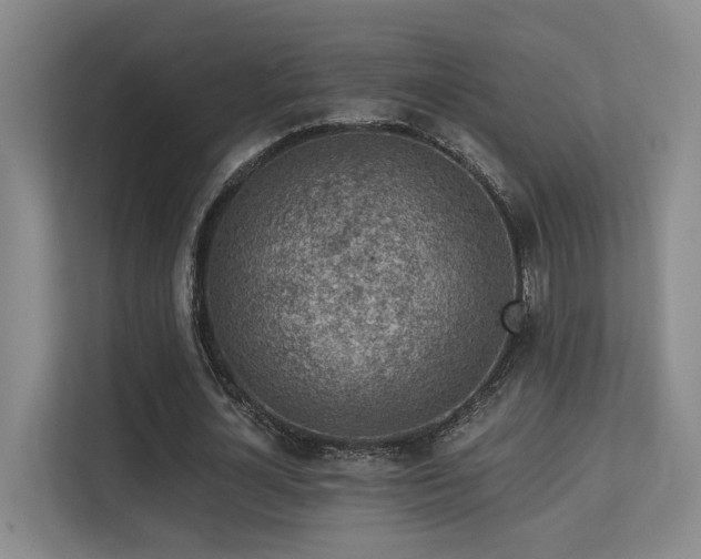 X0000113270724200909101518