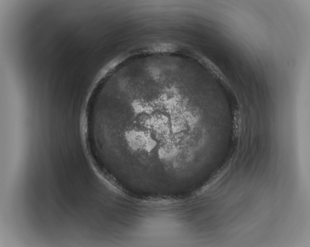 X0000113270726200909101518