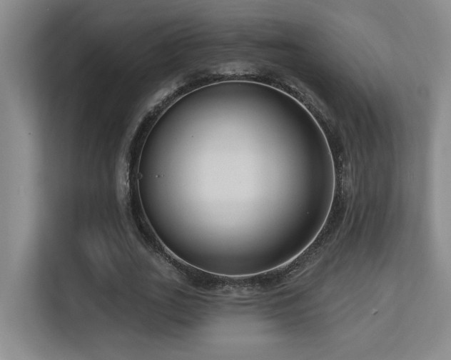 X0000113270727200909101518