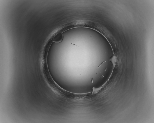 X0000113270728200909101518