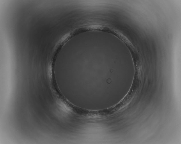 X0000113270729200909101518
