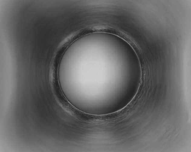 X0000113270732200909101518