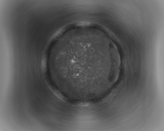 X0000113270735200909101518