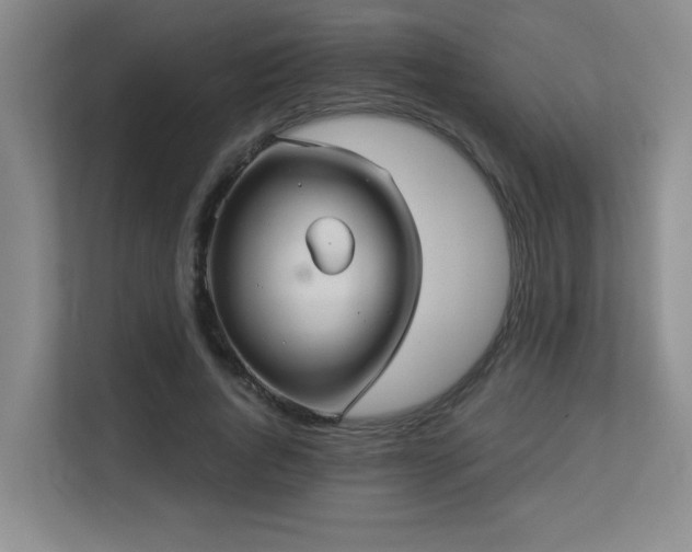 X0000113270736200909101518