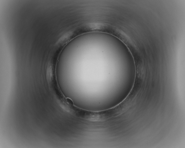 X0000113270740200909101518