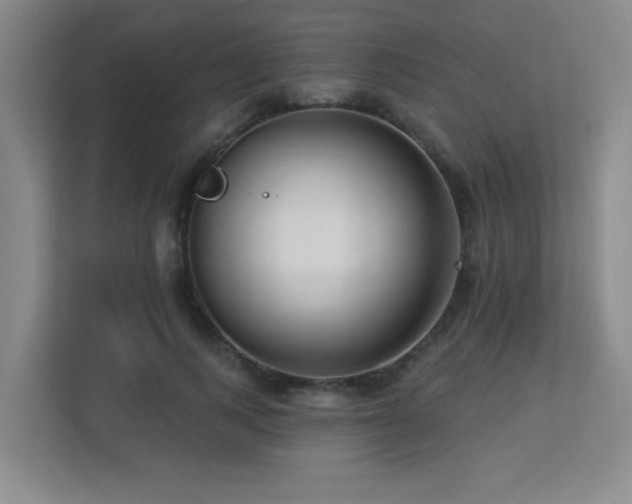 X0000113270743200909101519