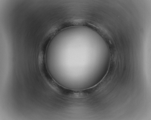 X0000113270744200909101519