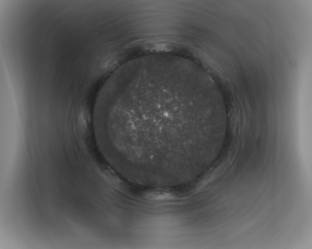 X0000113270747200909101519