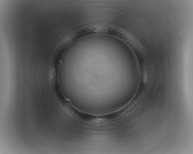 X0000113270748200909101519