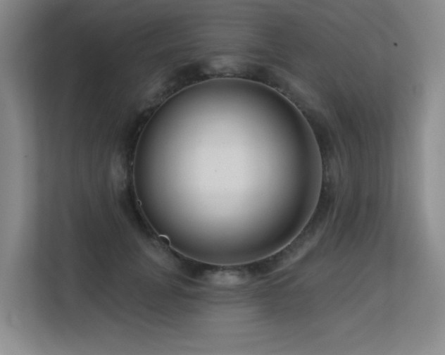X0000113270751200909101519