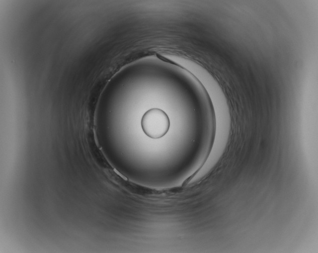 X0000113270752200909101519