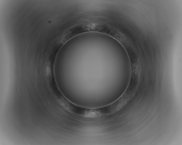 X0000113270754200909101519