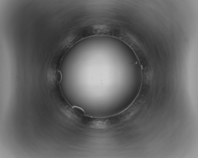X0000113270756200909101519