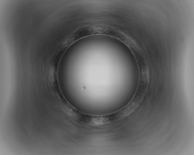 X0000113270757200909101519