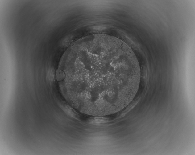 X0000113270758200909101519