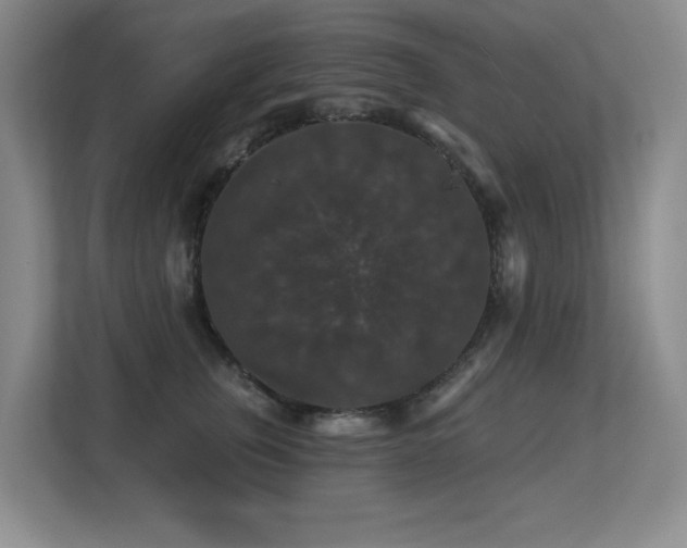 X0000113270759200909101519