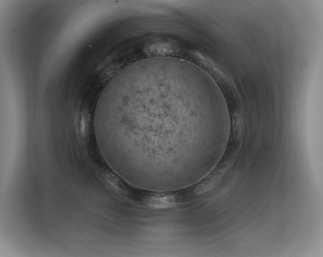 X0000113270760200909101519
