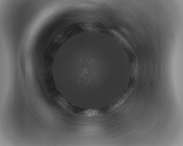 X0000113270762200909101519